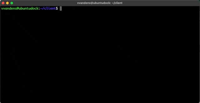 Screencast illustrant un docker build